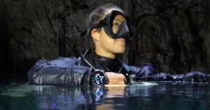 Shearwater Teric