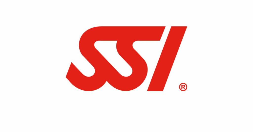 SSI Logo