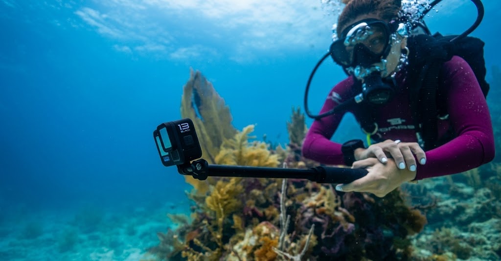 Best Diving Cameras for Beginners
