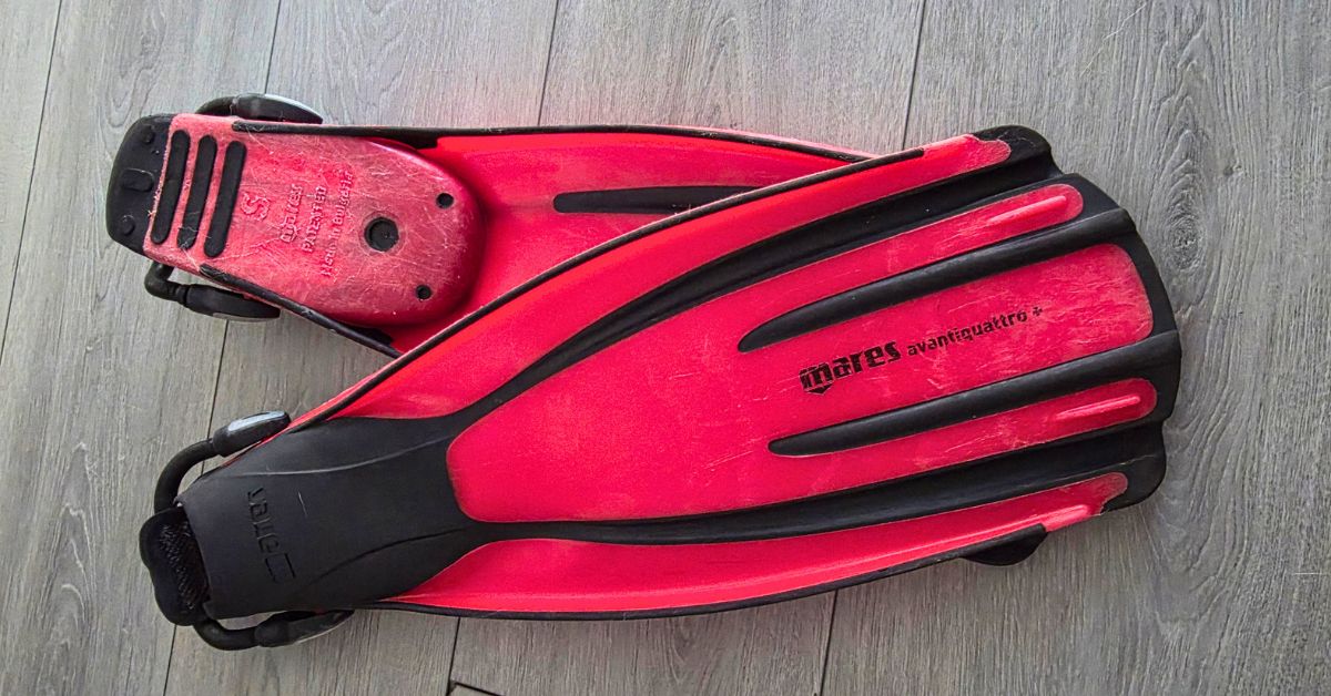 Top and bottom view of a pair of Mares Avanti Quattro + fins showing scuffs from years of use. For article titled Mares Avanti Quattro Plus Review